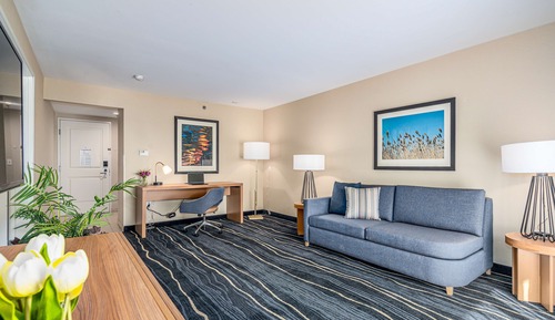 Suite, 1 King Bed, Accessible, Bathtub (with Sofabed)