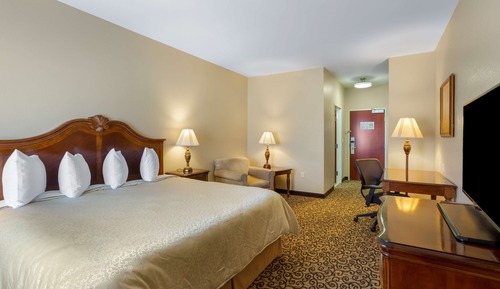 Standard Room, 1 King Bed, Non Smoking