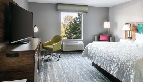 Room, 1 King Bed, Non Smoking