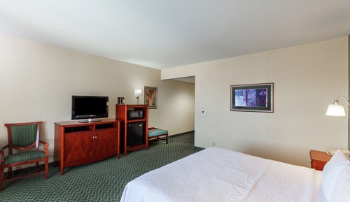 Room, 1 King Bed, Accessible, Non Smoking