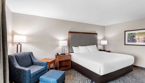 Room, 1 King Bed, Accessible, Non Smoking