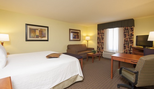 Room, 1 King Bed, Accessible, Non Smoking