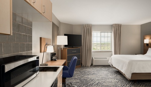 Studio Suite, 1 Queen Bed, Accessible (Communications Accessible)