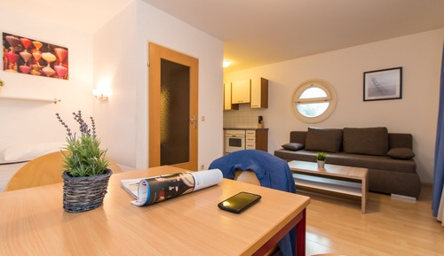 Standard Apartment, 1 Double Bed with Sofa bed