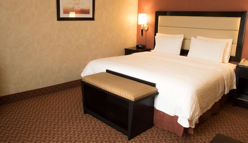 Room, 1 King Bed