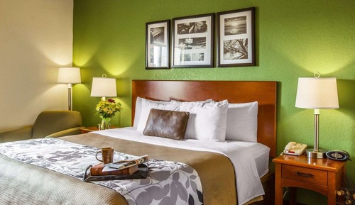 Suite, 1 King Bed, Accessible, Non Smoking