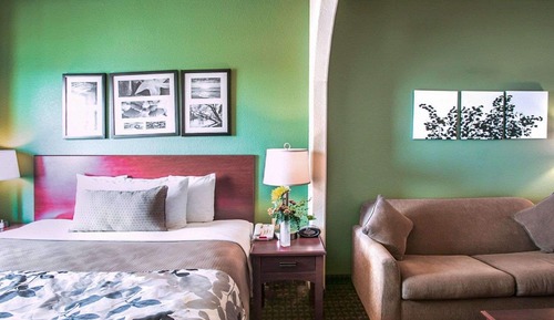 Suite, 1 King Bed, Non Smoking