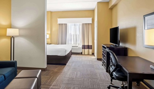 Suite, 1 King Bed with Sofa bed, Accessible, Non Smoking