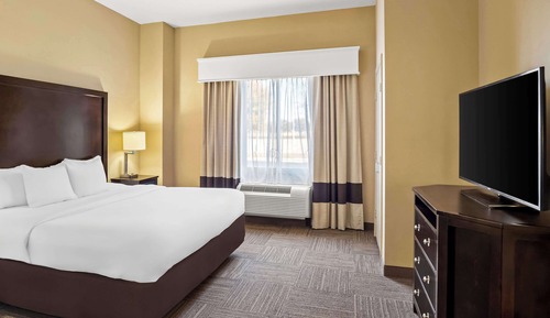 Suite, 1 King Bed with Sofa bed, Accessible, Non Smoking