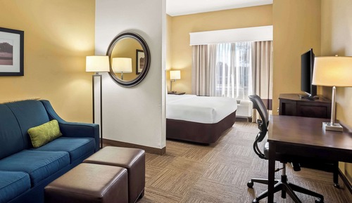 Standard Suite, 1 King Bed with Sofa bed, Non Smoking