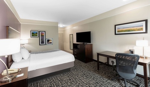 Deluxe Room, 1 King Bed, Accessible, Non Smoking (Mobility/Hearing, Roll-In Shower)