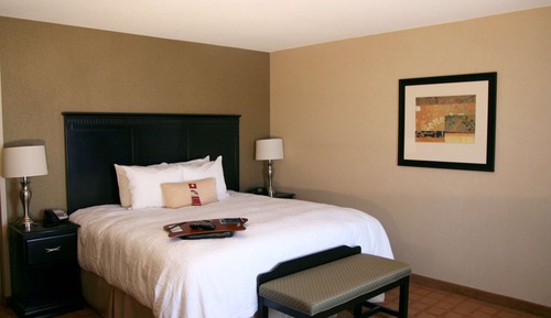 Room, 1 King Bed