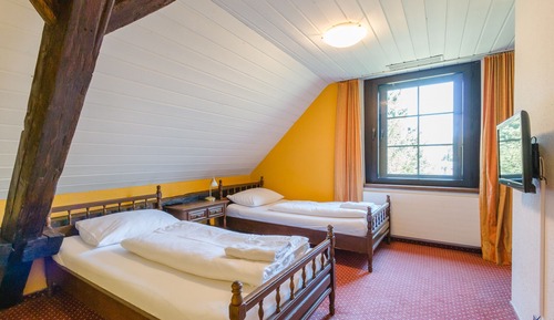 Basic Twin Room