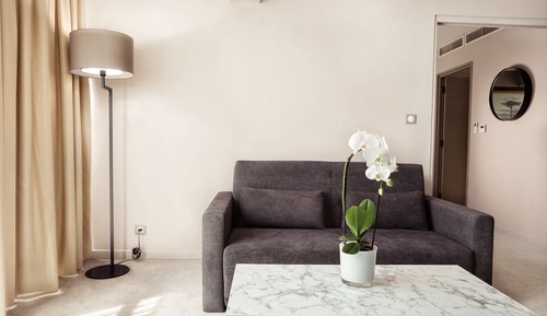 Premium Studio (Hill View)
