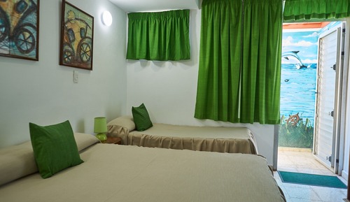 Double or Twin Room