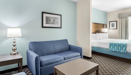 Suite, 1 King Bed with Sofa bed, Non Smoking, Microwave (with Sofabed)
