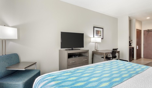 Executive Room, 1 King Bed, Non Smoking, Refrigerator & Microwave