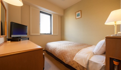 Single Room, Non Smoking