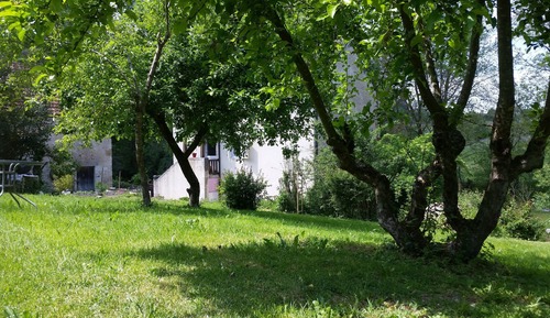 Comfort Double Room (Colchique)