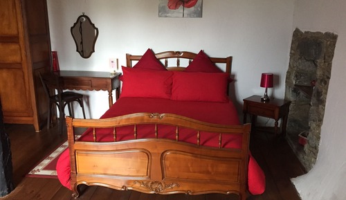Double Room (Red, 18 sq m)