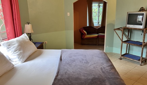Deluxe Single Room, 1 Queen Bed, Non Smoking, Garden View