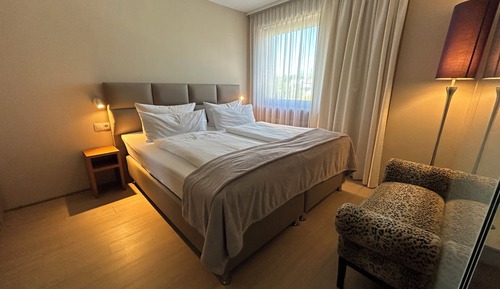 Business Double Room