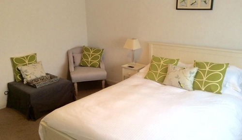 King Room (Non Pet Friendly)