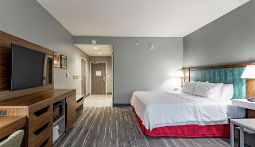 Room, 1 King Bed, Accessible, Refrigerator & Microwave (Roll-In Shower)