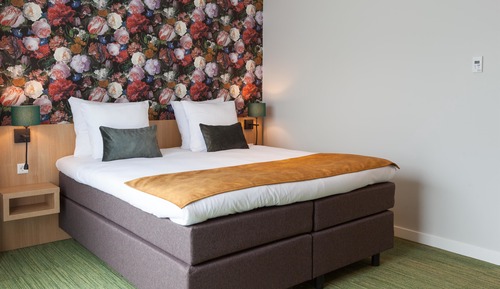 Superior Room, 1 Double Bed, Non Smoking