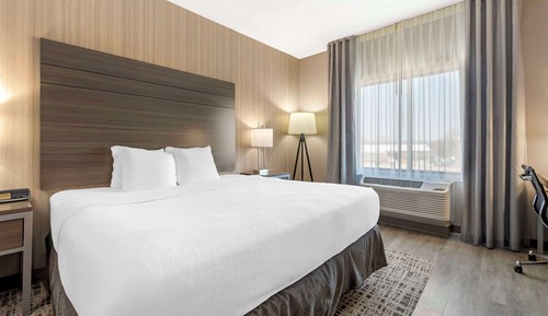 Standard Room, 1 King Bed, Non Smoking, Refrigerator & Microwave