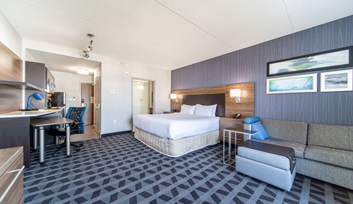 Studio, 1 King Bed with Sofa bed