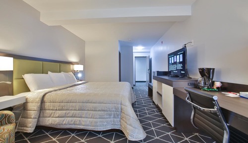 Luxury Single Room, 1 King Bed