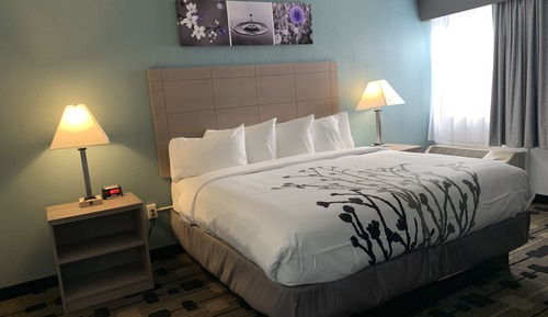 Standard Room, 1 King Bed, Non Smoking