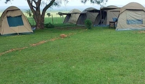 Standard Tent