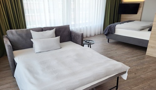 Premium Room, 1 Queen Bed with Sofa bed, Kitchenette (Family Room)