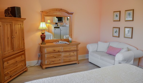 Standard Room, 1 King Bed, Non Smoking (Hibiscus)