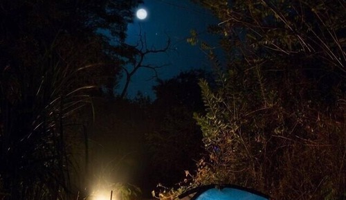 Standard Tent