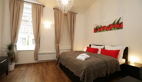 Basic Apartment