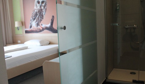Standard Double Room (Shower)