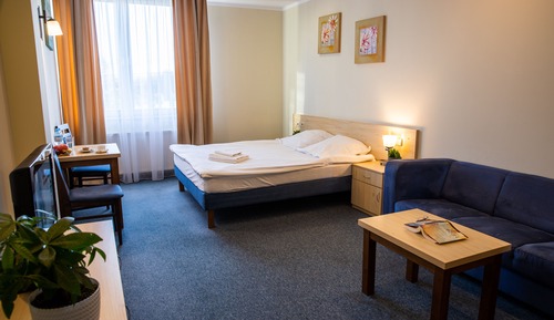 Double Room Single Use, 1 King Bed