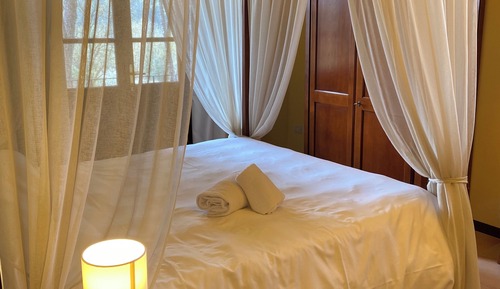 Standard Double or Twin Room, Garden View