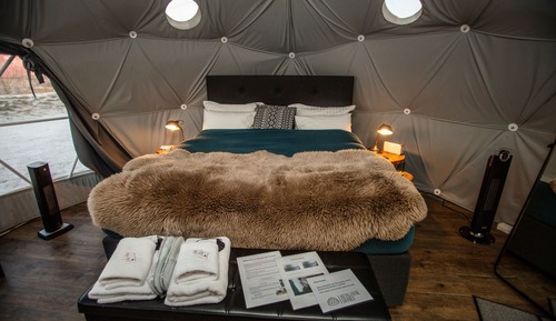 Standard Dome