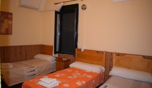 Basic Double or Twin Room