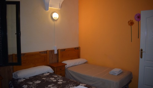 Basic Double or Twin Room
