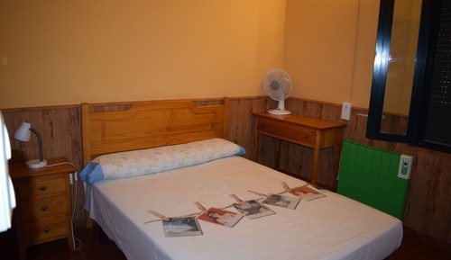 Basic Double Room