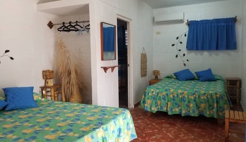 Quadruple Room, 2 Double Beds