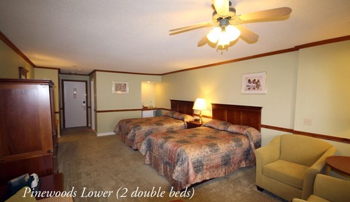 Deluxe Room, Multiple Beds (River Front)