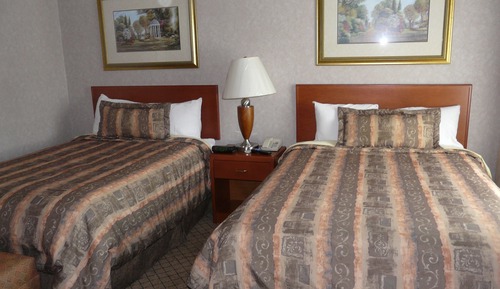 Standard Room, 2 Double Beds
