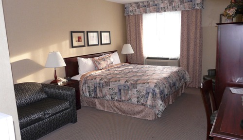 Standard Room, 1 King Bed with Sofa bed