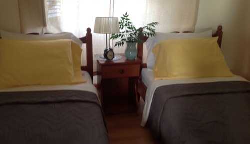 Economy Twin Room